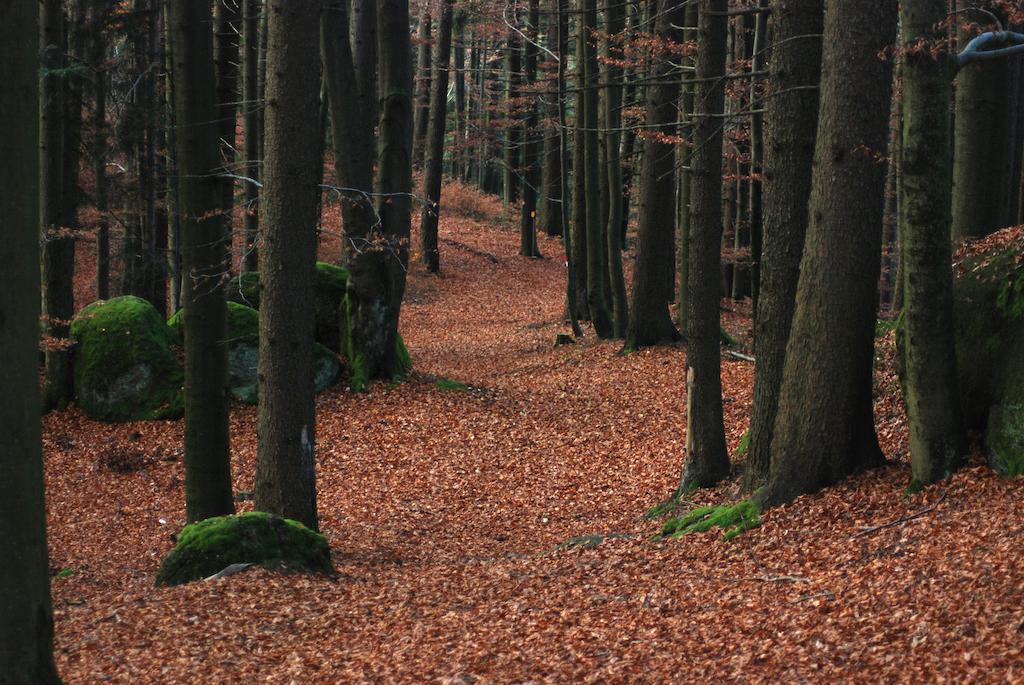 Gasthof Und Pension Haunschmid Rechberg Экстерьер фото