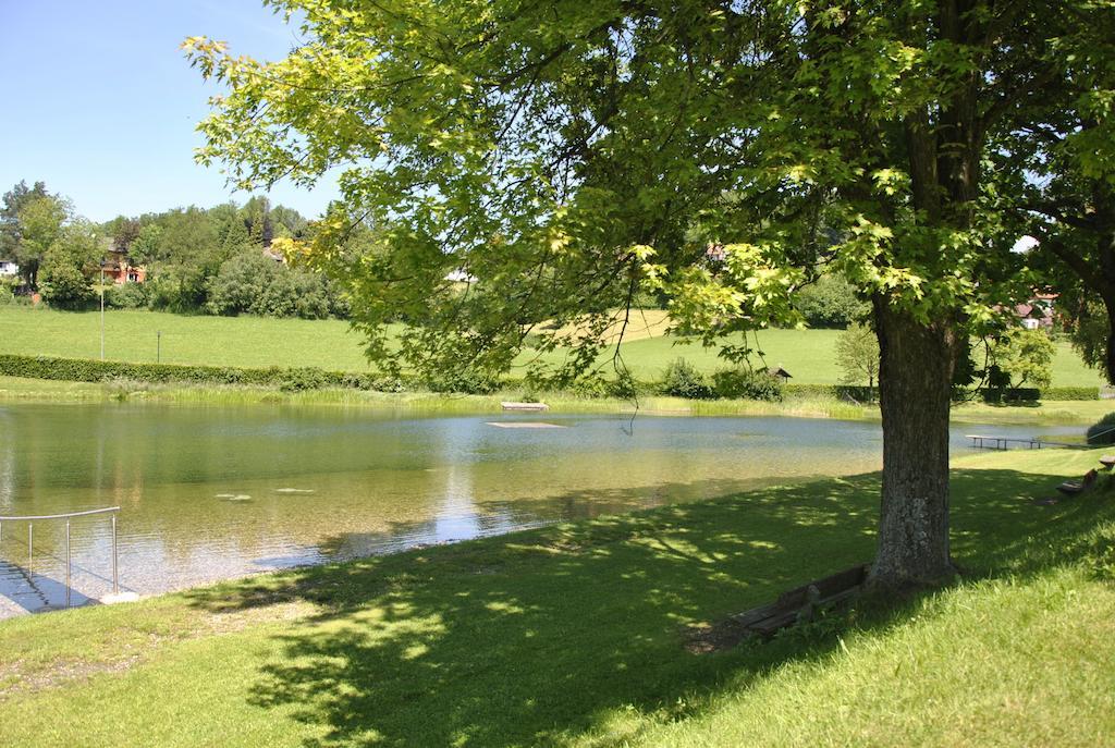 Gasthof Und Pension Haunschmid Rechberg Экстерьер фото