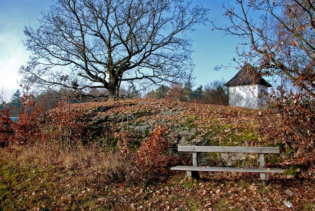 Gasthof Und Pension Haunschmid Rechberg Экстерьер фото
